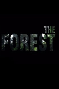 THE FOREST 2014 СКАЧАТЬ ТОРРЕНТ
